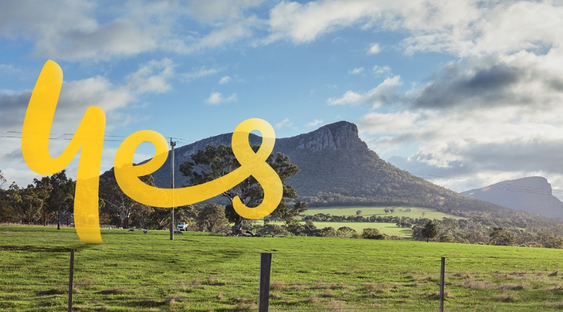 Kelly Bayer Rosmarin tweet media