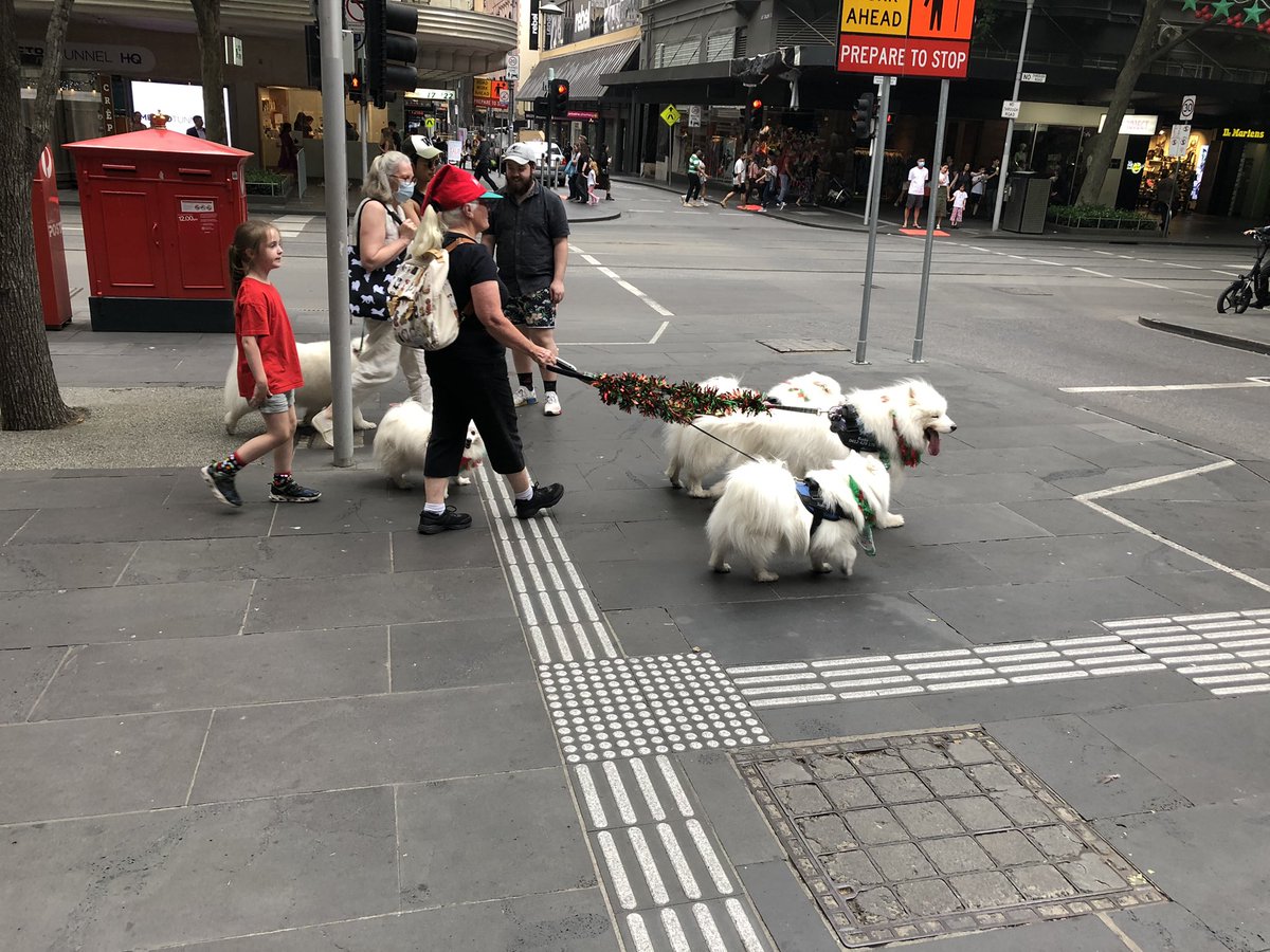 Raymond Volkas tweet media