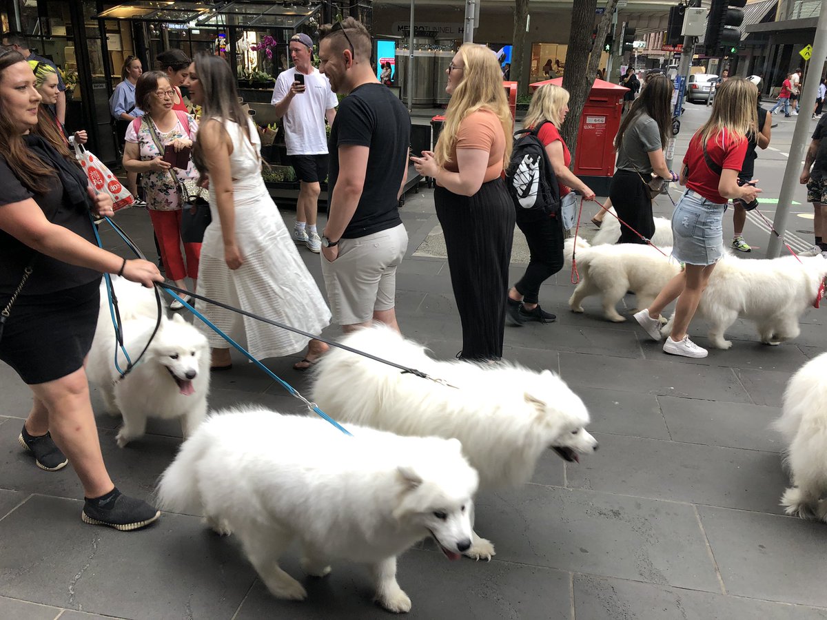 Raymond Volkas tweet media