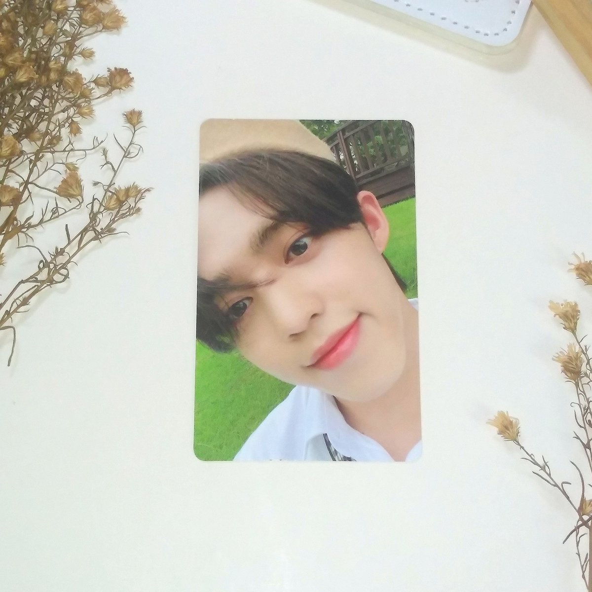yoonescent's tweet photo. ◛⑅·˚ ༘ ♡ #mailsformari ┆12-21-22
   
      ↷ ˊ-  hiii! cheolie arrived safely wah sparks 🫶🏼 vv safe and cutie ng packaging ^^  tysm for being accommodating and for letting me adopt this bebi! 'till our next transaction po ฅ^•ﻌ•^ฅ

🖇️ @svtrianelle #svtrianellefeedback https://t.co/djavqTbsxo