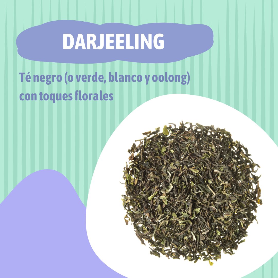 ¡Amamos el té! 🫖 Y estos tres británicos no pueden faltar en nuestra despensa. ¿Cuál es tu favorito? 😌