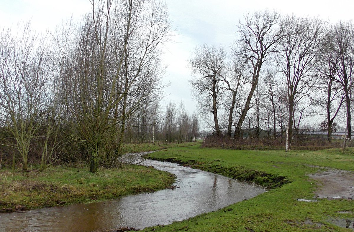 HeijdenJozef's tweet photo. Hij ons draagt een zandweg nabij het beekje Raamsloop, 'Waterlaten'
Het water in de #Raamsloop staat net als in andere beekjes weer erg hoog. Door de herinrichting van diverse beken zou dat ook nog een tijd moeten duren. Te hoog water moet opgevangen worden door de waterberging. https://t.co/weZjcZg2hV
