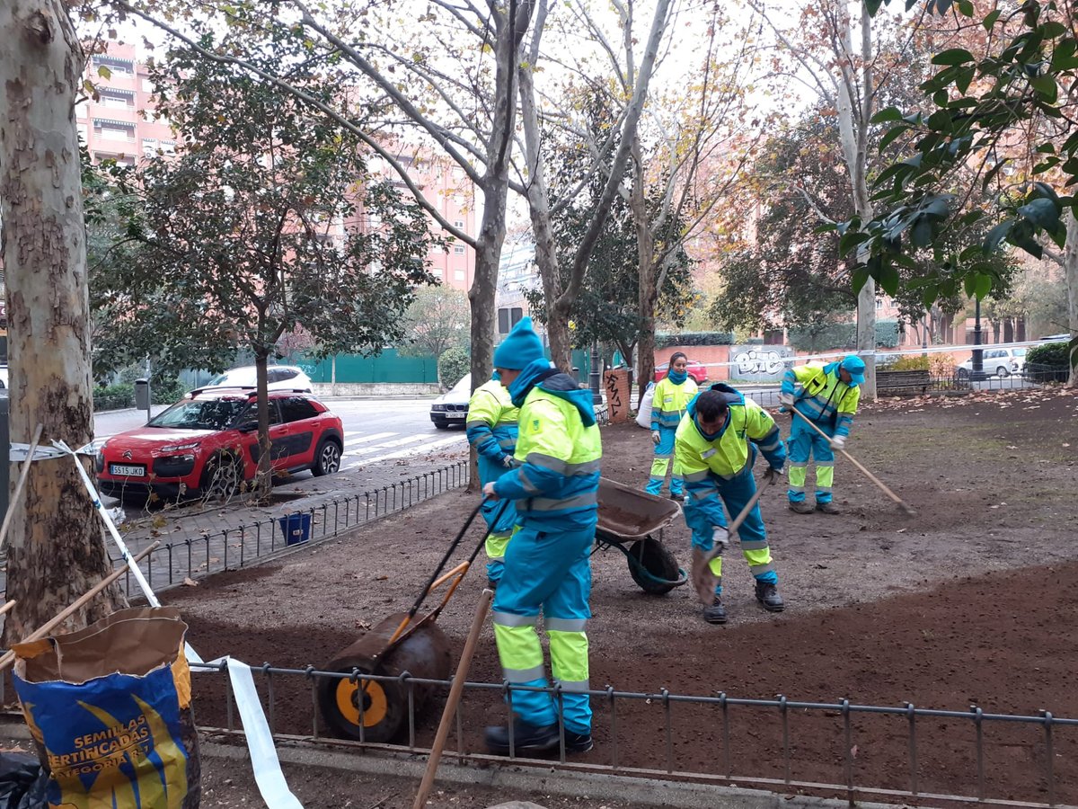 FCC_Equal's tweet photo. 🌳 Nuestros compañeros de Madrid han realizado tareas de #sembrado de mezcla de semillas para césped en el Parque El Espinillo de @MADRID, contribuyendo así al mantenimiento y creación de zonas verdes especialmente importantes por su valor social y medioambiental. https://t.co/vitSsZnQZE