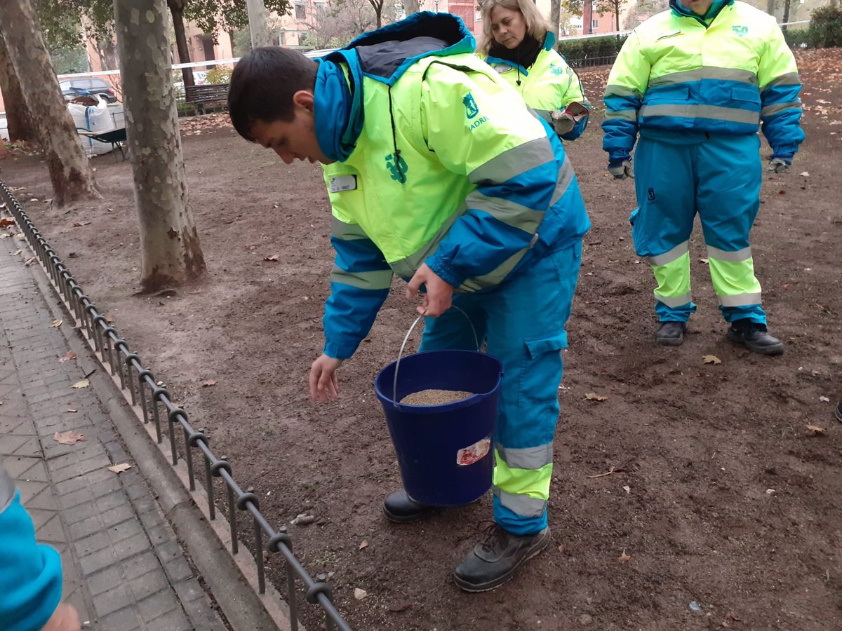 FCC_Equal's tweet photo. 🌳 Nuestros compañeros de Madrid han realizado tareas de #sembrado de mezcla de semillas para césped en el Parque El Espinillo de @MADRID, contribuyendo así al mantenimiento y creación de zonas verdes especialmente importantes por su valor social y medioambiental. https://t.co/vitSsZnQZE
