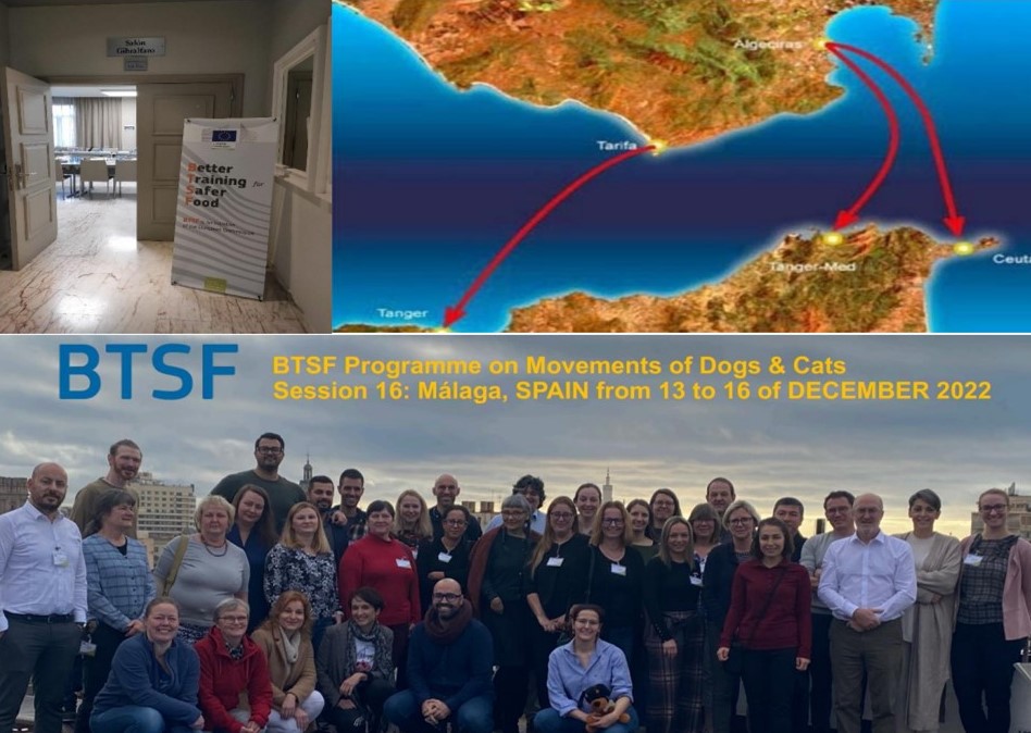 ACN_Veterinario's tweet photo. Los #bettertraining son una serie de cursos de formación organizados por las #DGSANTE de la #ComisiónEuropea con el objeto de la mejora continua del control y la prevención y por santo del nivel de #SalúdPública y #SeguridadAlimentaria.

Abrimos hilo! 👇🏾🧵 https://t.co/SbW79iBeFC