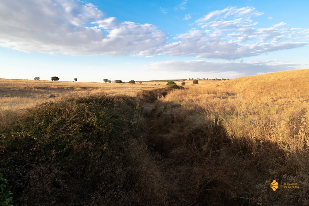 ☝🏻¿Estas preparado para descubrir la #naturaleza extremeña?

💦El #ArroyodelVillar es una de las grandes zonas paisajísticas de #Extremadura. Su paso por #FuentedeCantos deja un rico patrimonio natural

👣Los #peregrinos descubren sus grandezas por la etapa 6 de la #VíadelaPlata