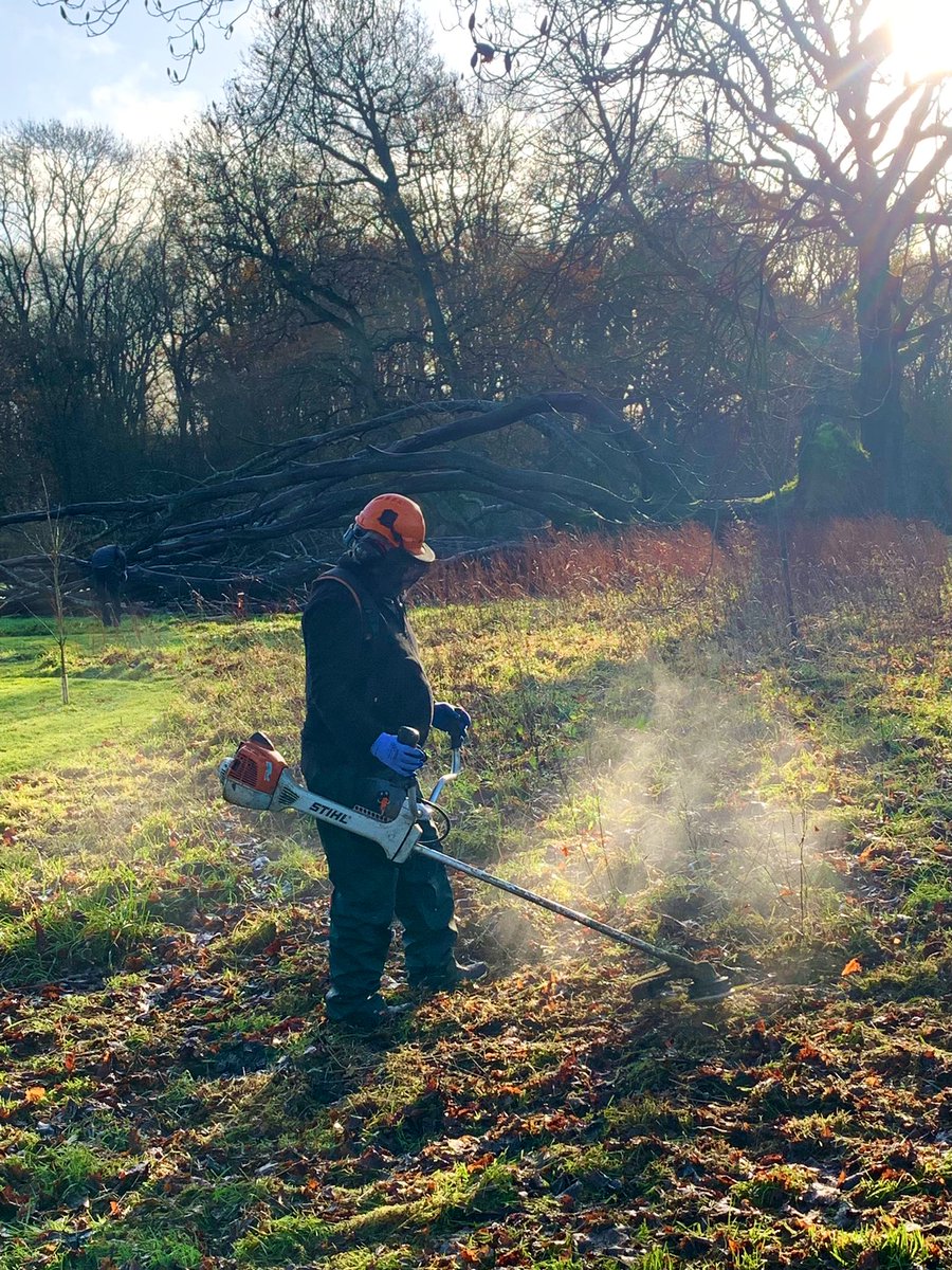 Making Swathes;
End of season strim for this wildflower grassland we’re creating at this Buckinghamshire Manor.