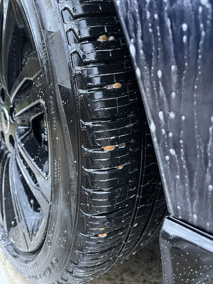 Richard Tipper tweet media