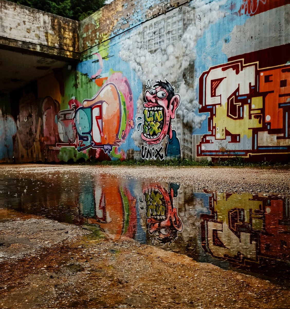 xontrikaiasximi's tweet photo. 💙🧡💛💚❤
#ioannina #giannena #epirus #Greece #greekphotographers #whereilive #urban #urbanphotography #urbangreece #reflections #reflectionsinthewater #urbanart #streetart #graffiti #photography #photographylovers #photographyisart #colours #colourful #campus #universitycampus https://t.co/5uo5KDYt0d