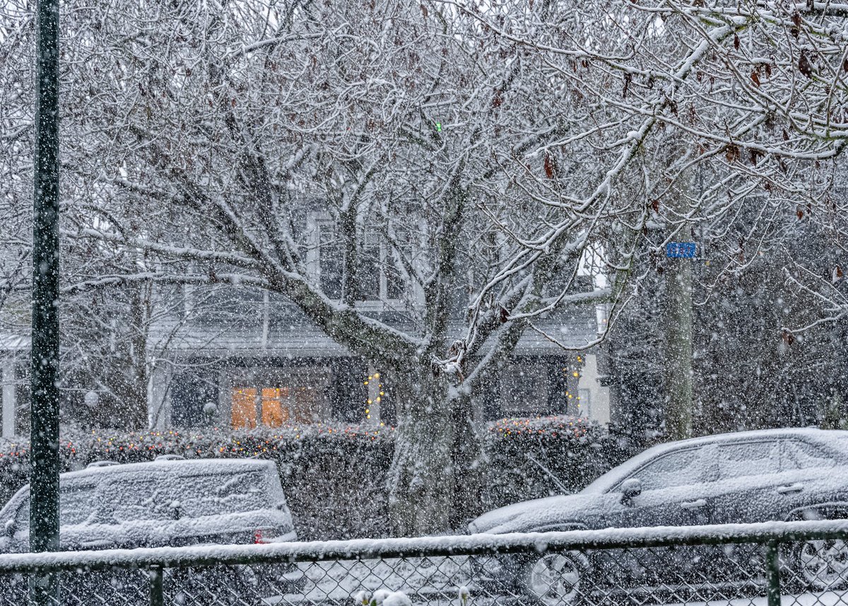 federalli2022's tweet photo. Vancouver’s snowfall Dec 2022

#snow #Vancouver #BCStorm #BCSnow #snowfall #Snowmageddon #Christmas @CityNewsVan #PicOfTheDay https://t.co/Qwmu1WiYIX