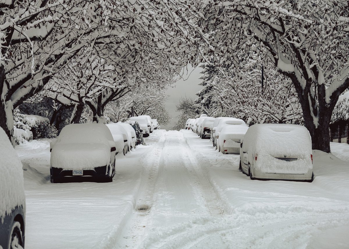 federalli2022's tweet photo. Vancouver’s snowfall Dec 2022

#snow #Vancouver #BCStorm #BCSnow #snowfall #Snowmageddon #Christmas @CityNewsVan #PicOfTheDay https://t.co/Qwmu1WiYIX