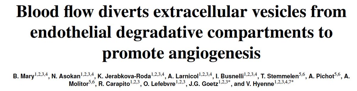 Jacky GOETZ tweet media