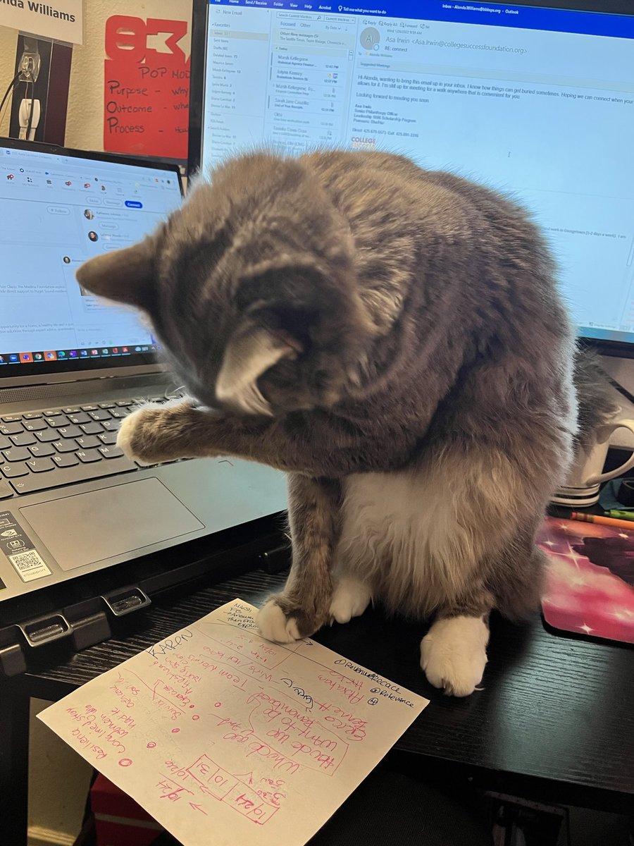 alondaw's tweet photo. I spend an inordinate amount of time each day moving my cat. #CatsOfTwitter #workingwithcats #remotework https://t.co/Iri11vqM3P