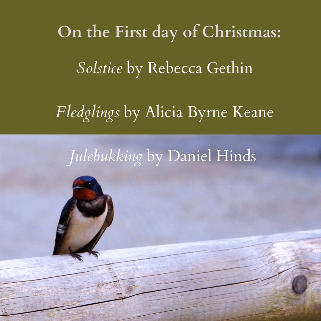 InkSweatTears's tweet image. We are delighted to bring you for the next 12 days, 12 slanted pieces for Christmas written by writers we love. To start us off we have three poems by @gethin_rebecca, @keane_byrne and @DanielGHinds

Read them all here: inksweatandtears.co.uk/on-the-first-d…

#12DaysOfChristmas #PoemADay