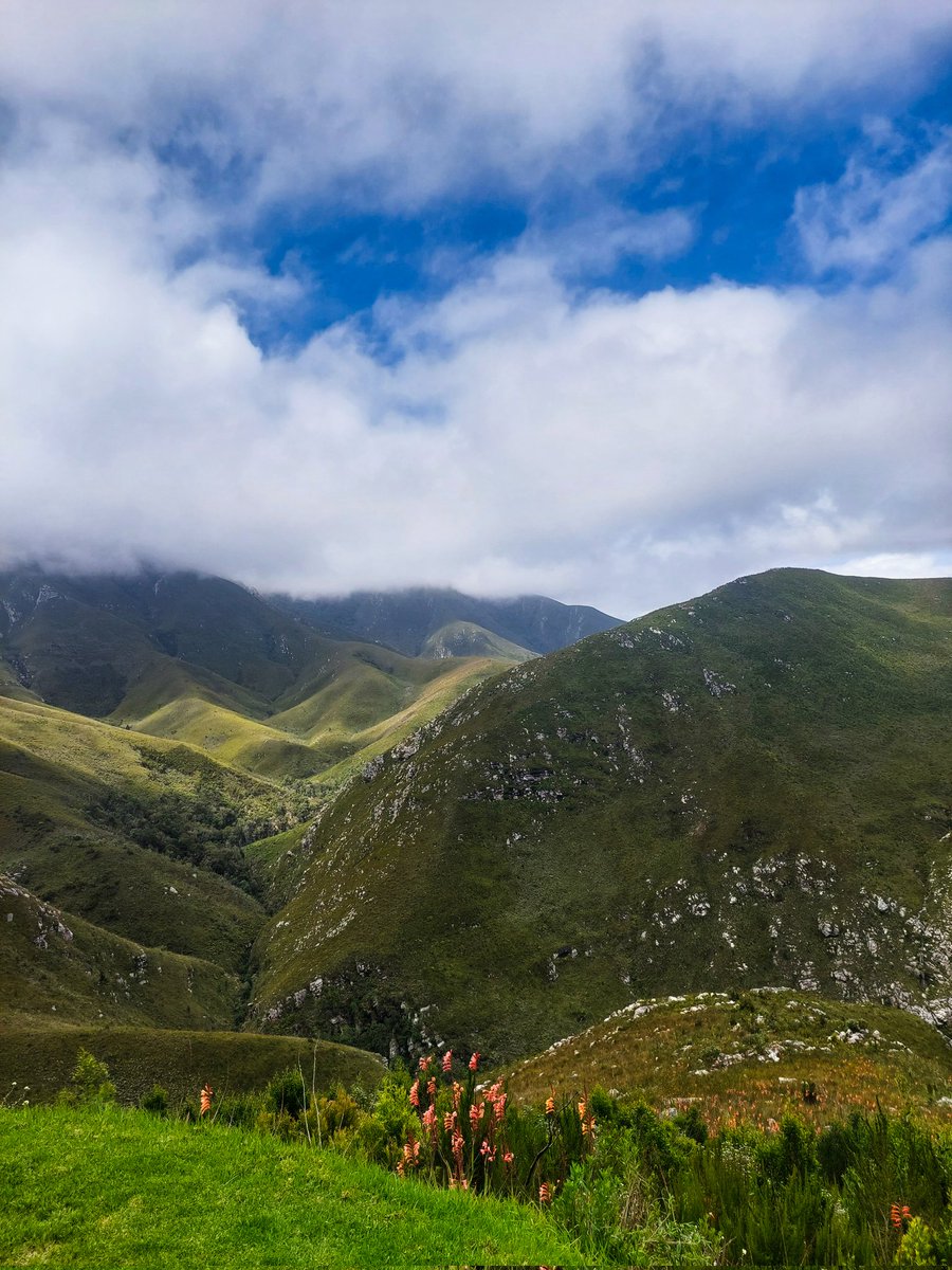 moniquerabe7's tweet photo. Swartberg-, Outeniquapas en Wilderness ... ⛰️ https://t.co/yFVe801NRA