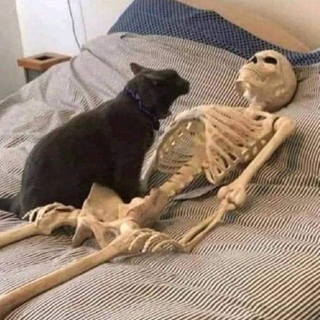 DABI PLEASE #MHA376 #MHASpoilers