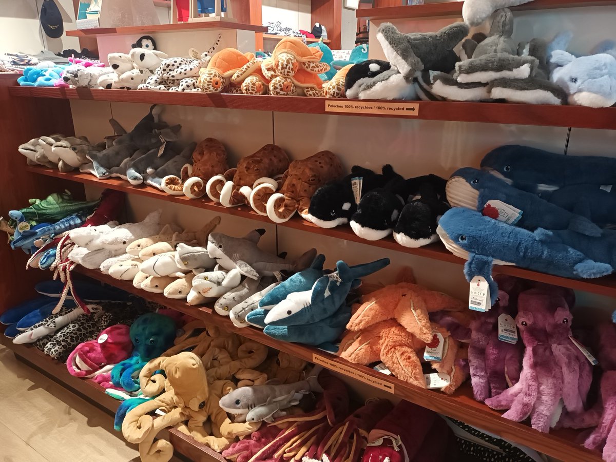 Michel Rouger tweet media