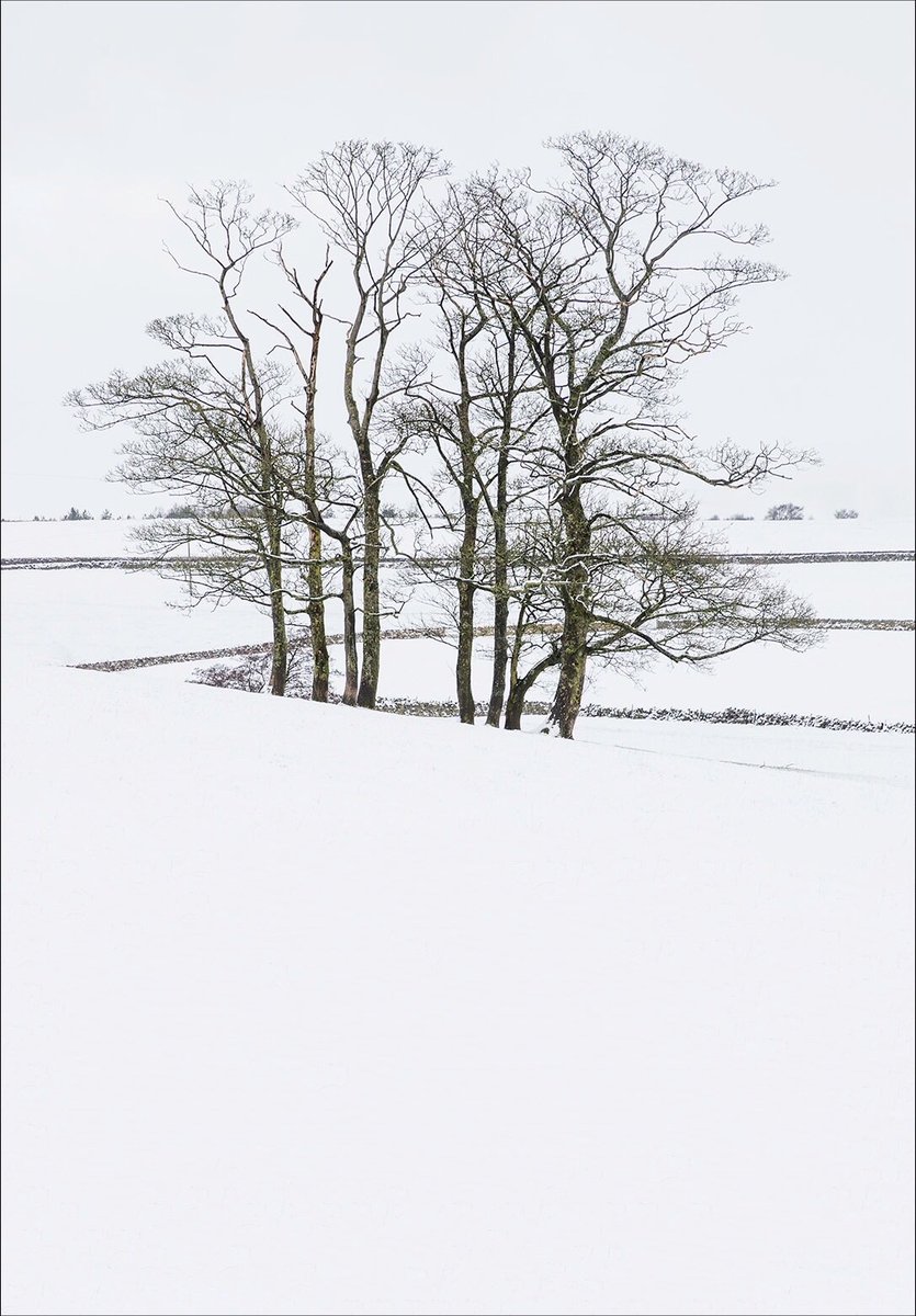dunfordbridge's tweet photo. Winter is coming.... Near Holmfirth, Yorkshire, UK.
#HappyChristmas #PeakDistrict #landscapephotography #Yorkshire @WoodlandTrust #treesproject @ThePhotoHour @StormHour #winter #holmfirth https://t.co/8kxmIwVKff