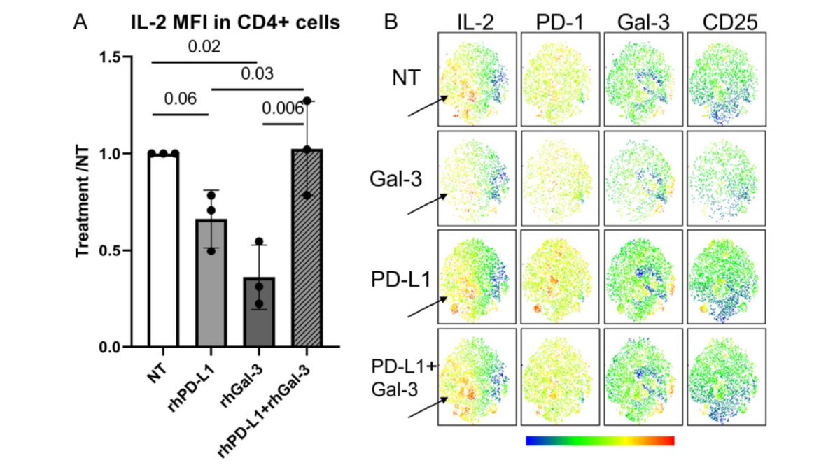 CzerwinsMarcin's tweet photo. Galectin-3 interacts with PD-1 and counteracts the PD-1 pathway-driven regulation of T cell and osteoclast activity in Rheumatoid Arthritis  https://t.co/qmA39cSBKJ

#glycotime https://t.co/T8rlbcyeNk