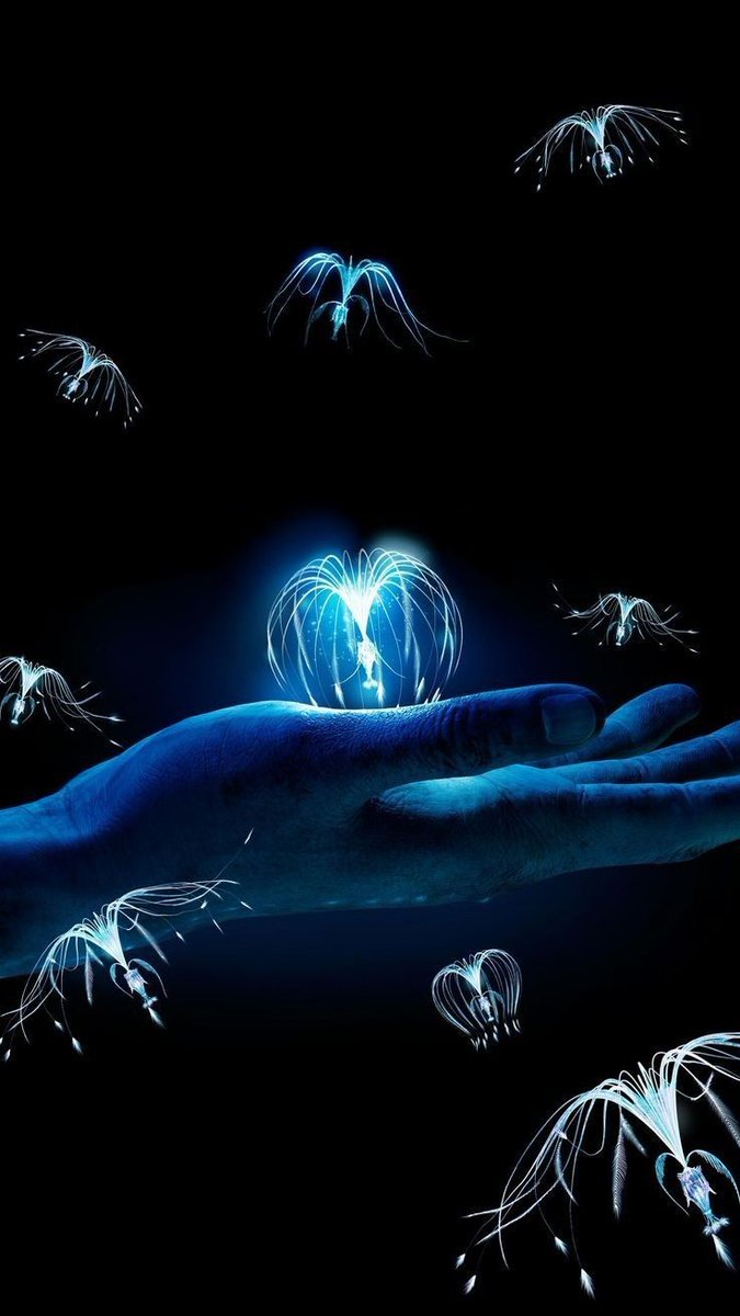 Las películas de Avatar son una fantasía visual y auditiva.
💙