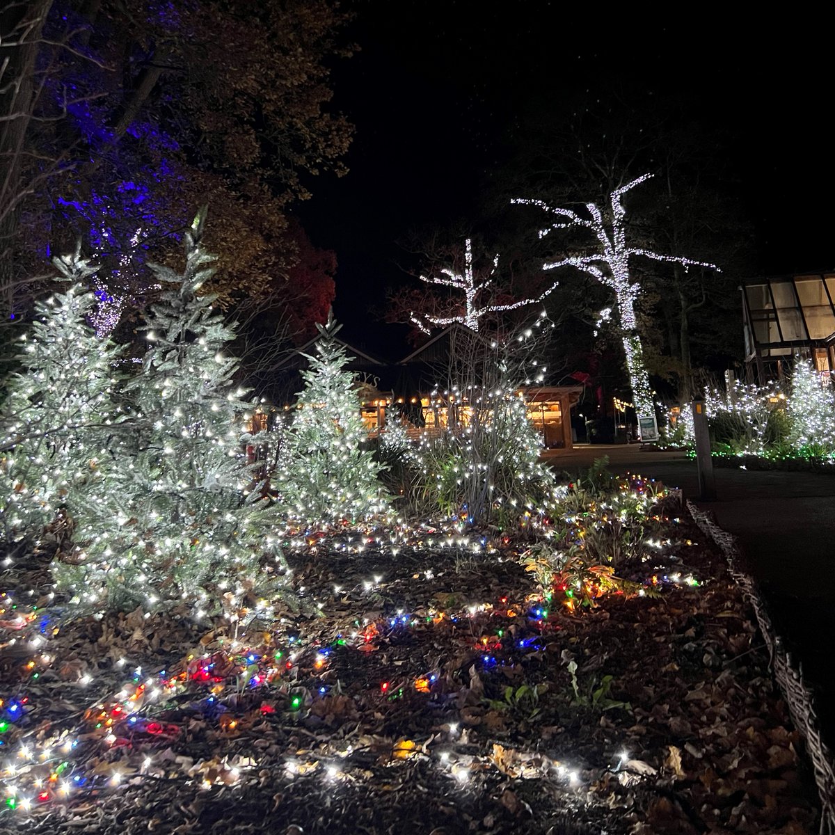 AwayResortsUK's tweet photo. Thumbs up from the little guy or bark as loud as the doggo if you're excited for Santa! 🎅 

Only 4 more sleeps until he arrives and we're feeling festive at Sandy Balls, are you on the naughty or nice list this year?  🙈 🎄 #Newforest #Forestoflight #Christmascountdown https://t.co/tD8kVYxPXA