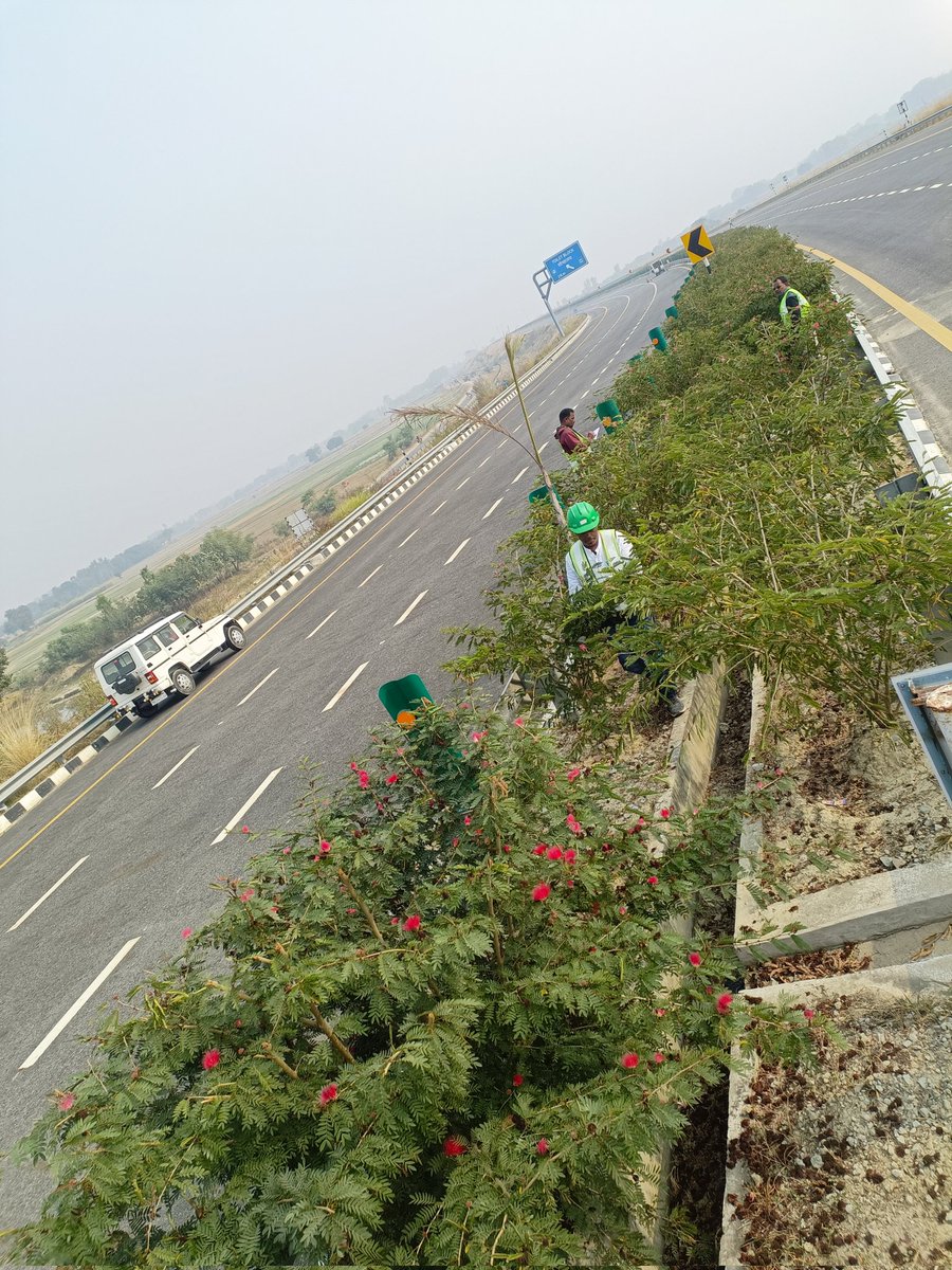 ajitrawat33's tweet photo. Growing Plants at Purvanchal Expressway pkg8, @upeidaofficial @myogiadityanath https://t.co/yc7hu0qEx7