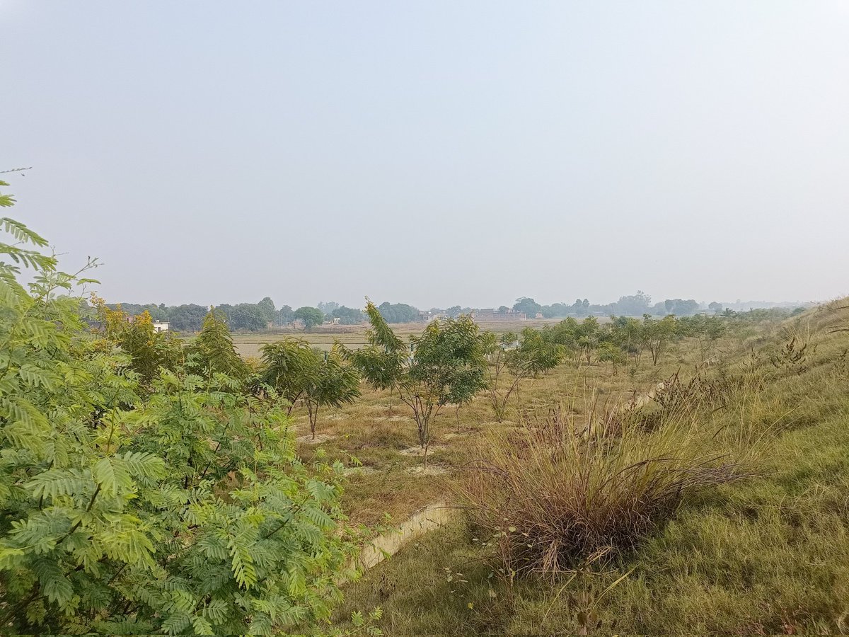 ajitrawat33's tweet photo. Growing Plants at Purvanchal Expressway pkg8, @upeidaofficial @myogiadityanath https://t.co/yc7hu0qEx7