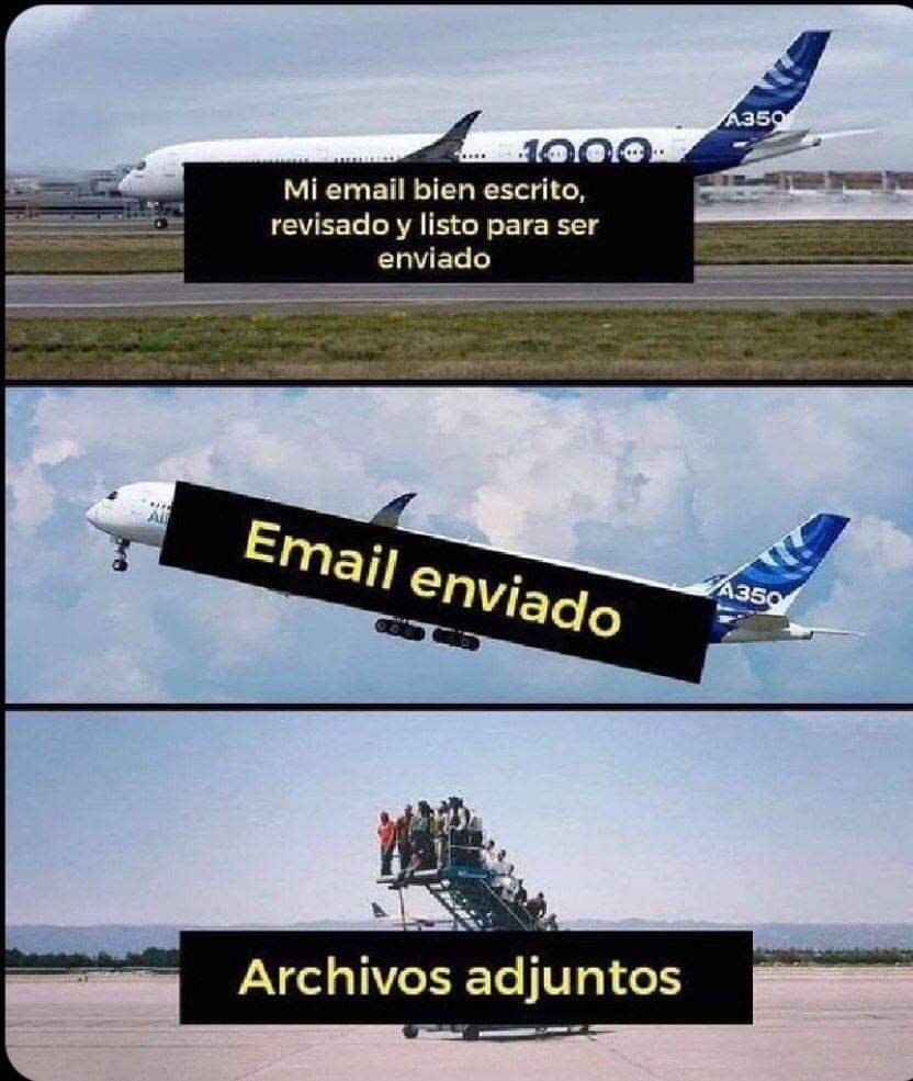 💀 SALVAJE 💀 tweet media