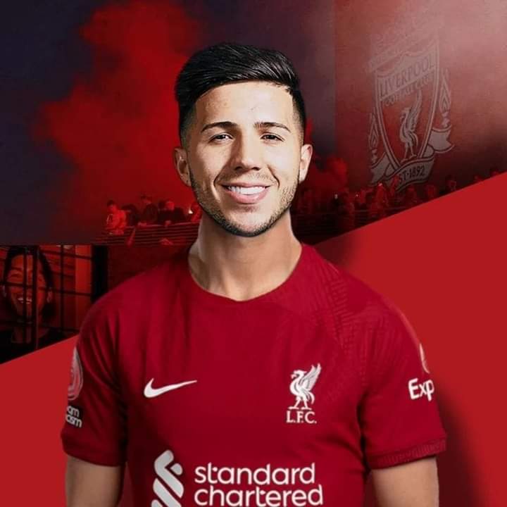 Lambe_Liverpool tweet media