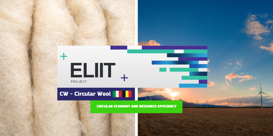 EU_EISMEA's tweet photo. Our #ELIITProject, Circular Wool has a vision to give new life to a wasted raw material. As we speak, they are transforming European rustic wool from meat and dairy sheep into a material for industrially viable and commercially desirable products 🐏👇

https://t.co/pDbpvCPwdA https://t.co/EXjWBtYubK