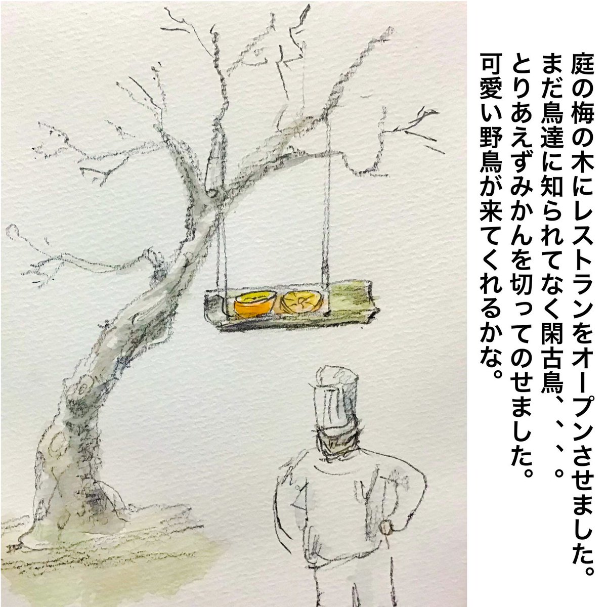 hanasuty's tweet image. I opened a restaurant in the plum tree in my garden.
Not yet known to birds.
I cut a mandarin orange and put it on.
I wonder if cute wild birds will come.

#BirdTable
#TodayMyGraffiti
#Picturediary 
#絵日記