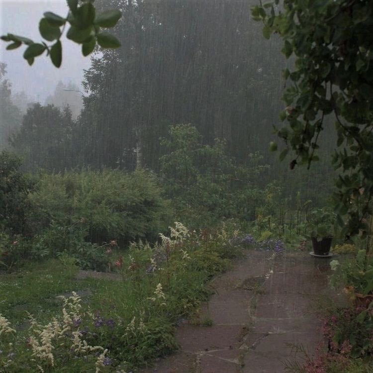 7icix's tweet photo. The sound of rain https://t.co/9PSP7WHgmo