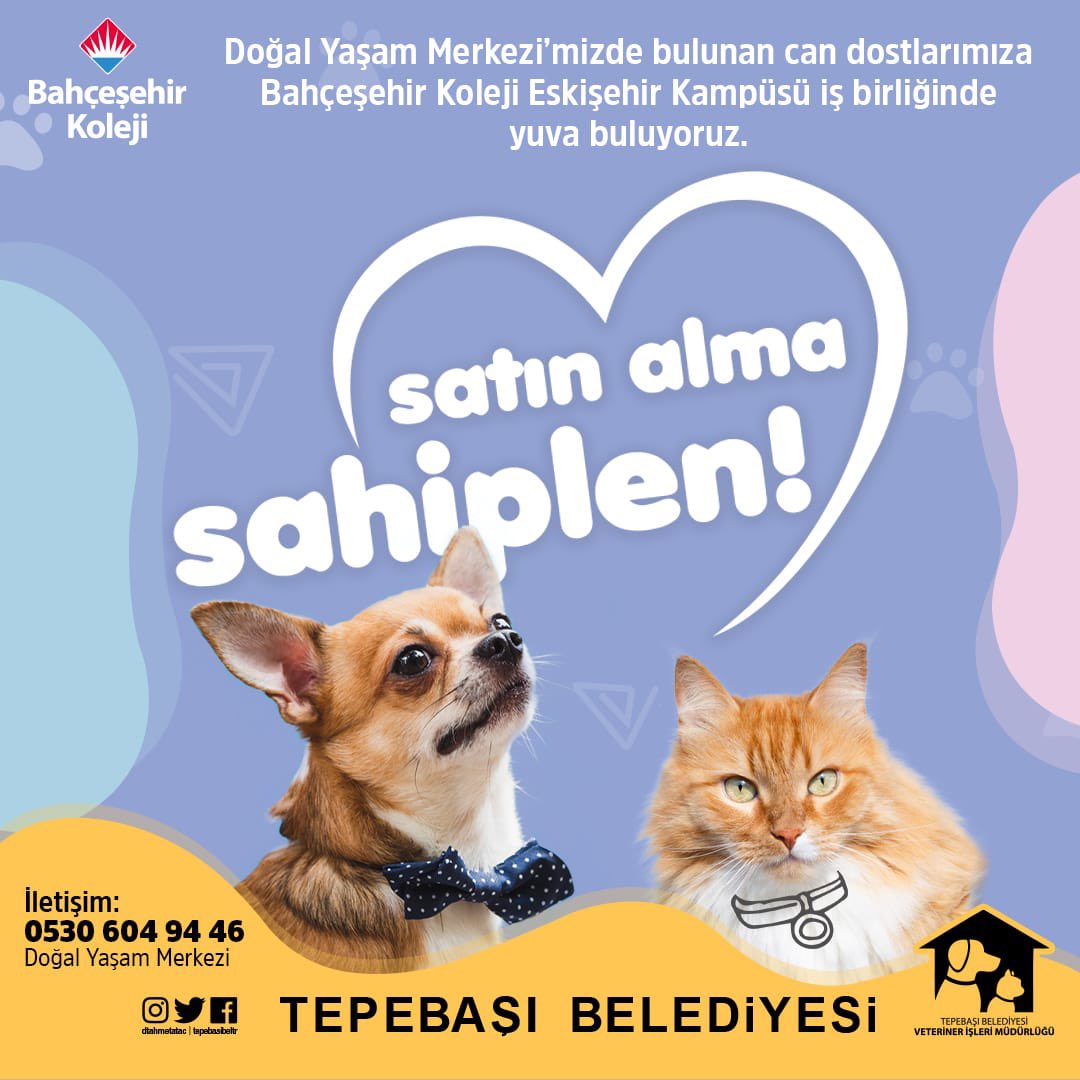 BK_Eskisehir's tweet photo. Tepebaşı Belediyesi ile yaptığımız iş birliği kapsamında Doğal Yaşam Merkezi’nde bulunan can dostlarımıza yuva buluyoruz.
Başvuru: Doğal Yaşam Merkezi / 0 530 604 94 46 🐾 https://t.co/kH6ArP7TR8