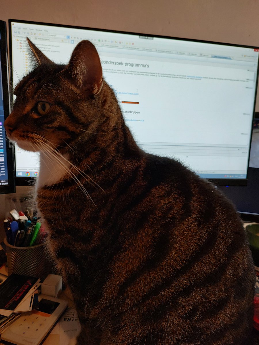 Anne_Bensler's tweet photo. Completely oblivious that he's in the way ... or is he? ๐คฃ
#tryingtowork #workingfromhome #lastdaybeforevacation https://t.co/rufviXkTSc