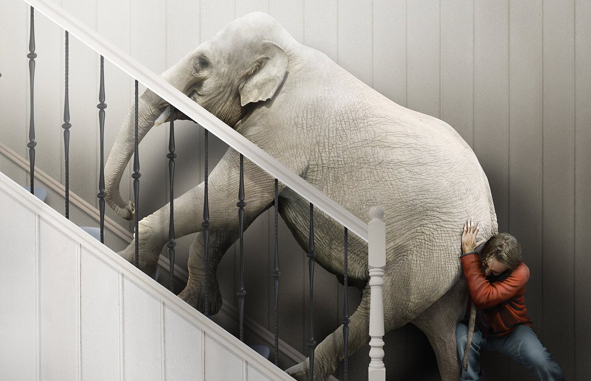 Stock_Artworks's tweet photo. Man struggling to push elephant up stairs
A New Image by Derek Bacon

https://t.co/aXuH3C4UHP

#stockillustrations #illustrate #illustration #illustrator #illustratorsontwitter #stockillustrationoftheday #stockillustrationdaily #stockillustrationontwitter https://t.co/4q8WRmK6PH