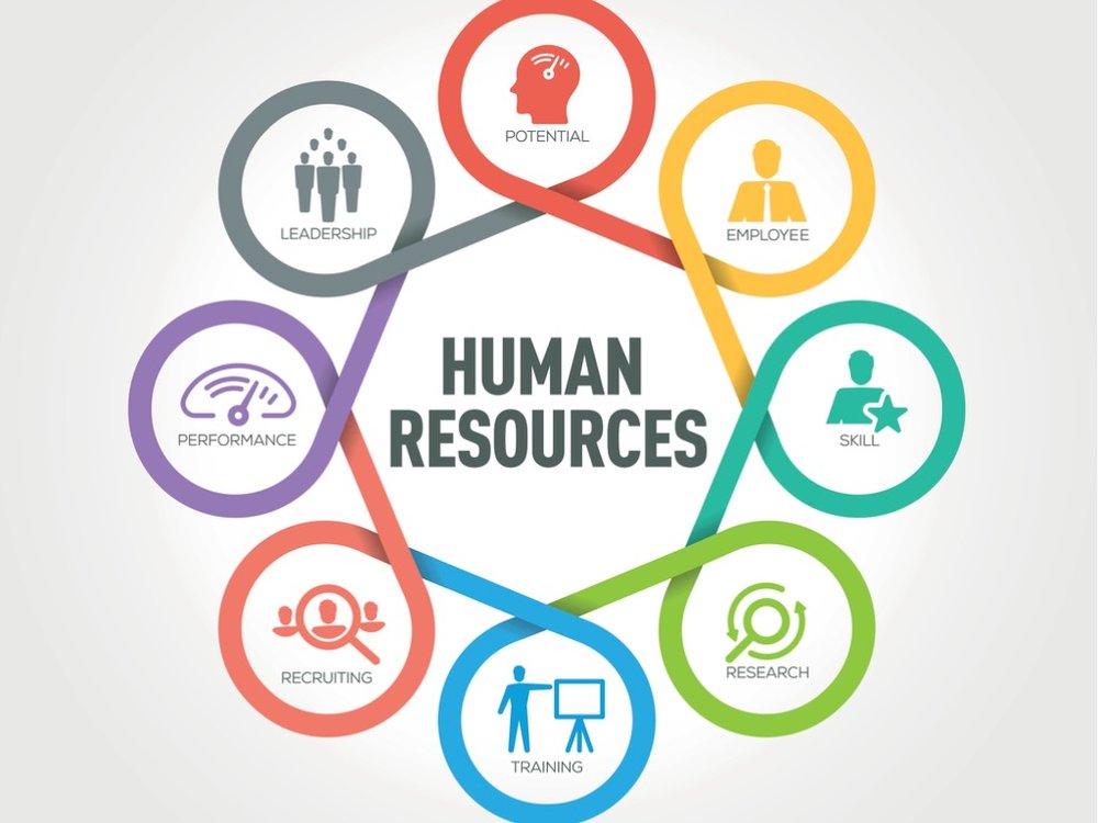 Book_My_Essay's tweet image. BookMyEssay provide you #HumanResourceManagementAssignmentHelp. Human resource is the backbone of any organization because HRM take care of companies from conducting interviews to documentation.

Visit us: bit.ly/3IathVF

 #AssignmentWritingHelp #HRAssignmentHelp