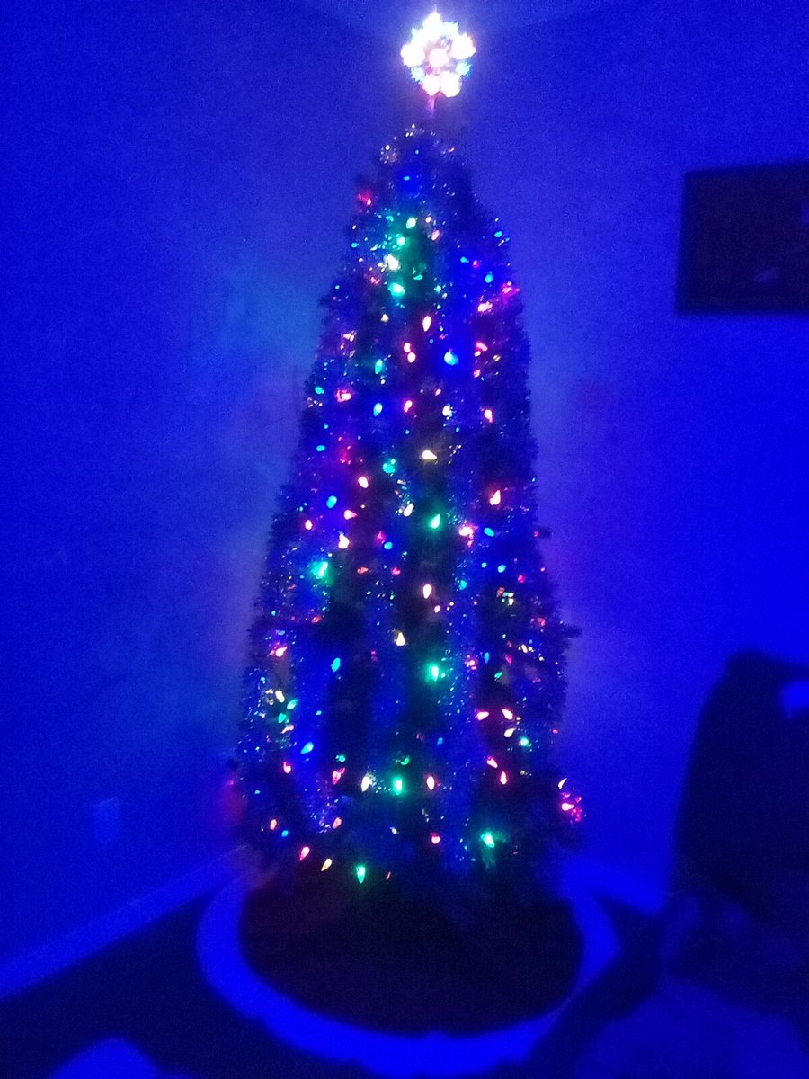 Sharlamain1's tweet photo. @ChristmasCount https://t.co/uCiisgwDr2
