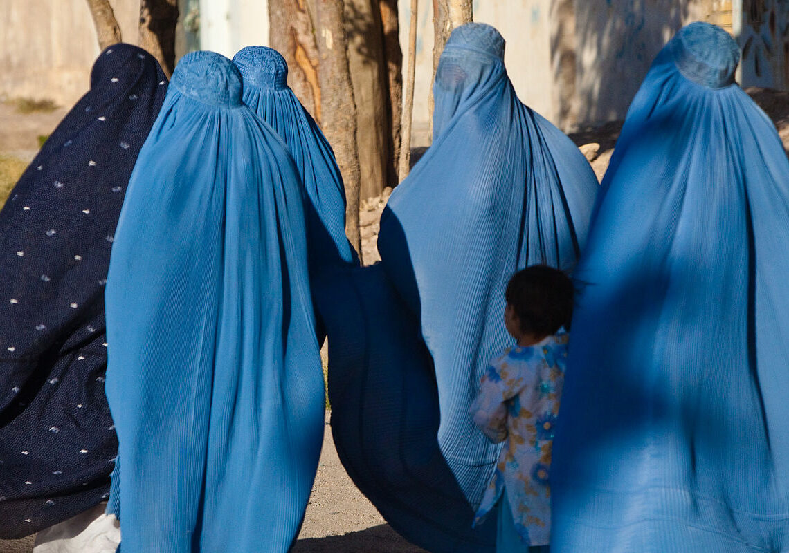 TeresaBellanova's tweet photo. Le #donne in #Afghanistan non potranno più frequentare l'#università. Impedire alle donne di studiare significa costringerle all'ignoranza, privarle di autonomia e libertà.
La comunità internazionale faccia sentire la sua voce. Non possiamo lasciarle sole.
https://t.co/aiSoFOHlXI https://t.co/1OxzltFjbC