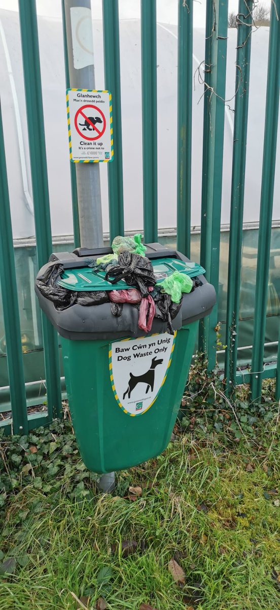 BeerGeek5's tweet image. Bore da @CyngorGwynedd be di'r pwynt o gael biniau baw ci os da chi ddim yn ei gwagio nhw? Hwn tu allan ich depot street lighting yn Cwm y Glo.
What's the point in dog poo bins if they are never emptied? This one right outside your own street lighting depot in Cwm y Glo.