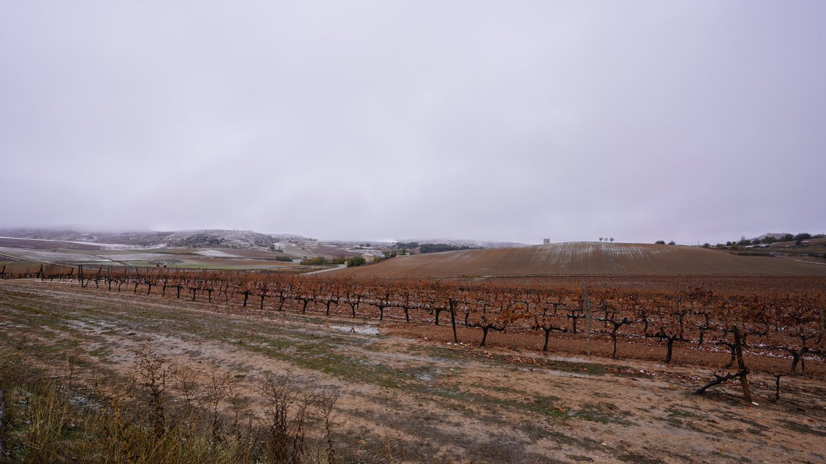 palaciosvdfinca's tweet photo. Estamos ❤️de esta estampa. Nuestros viñedos nevados dan la bienvenida al invierno, periodo clave en el ciclo vegetativo de las viñas. Nuestras vides, “en letargo”, hasta el momento óptimo para un nuevo comienzo de ciclo.
#PalaciosVinosDeFinca
@BodegasTrus @nivariusrioja #Proelio https://t.co/mwjyOXtLwI
