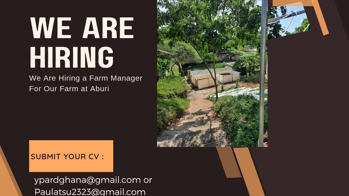 paulatsu2323's tweet photo. #opportunities! We are hiring a farm manager: #FarmManager!!!

Under the  @YPARDGhana We are searching for a manager with good business sense to join our team to manage a modern farm in Aburi.1/2 https://t.co/qcx83sYPCJ