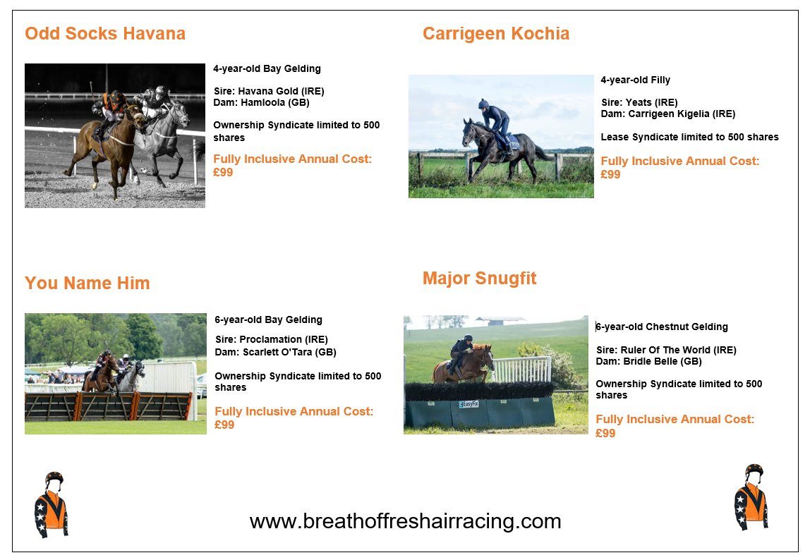bofaracingclub's tweet photo. Experience the thrill of racehorse ownership and start living the dream: OUR FAB 4 
3 are winners and 1 unraced who makes her debut on Boxing Day at 
@NewcastleRaces All in training with @RebeccaEMenzies 
Sponsored by: @PattesonsGlass 
 
https://t.co/vttpDd6pJi https://t.co/3Wee6ox6JN