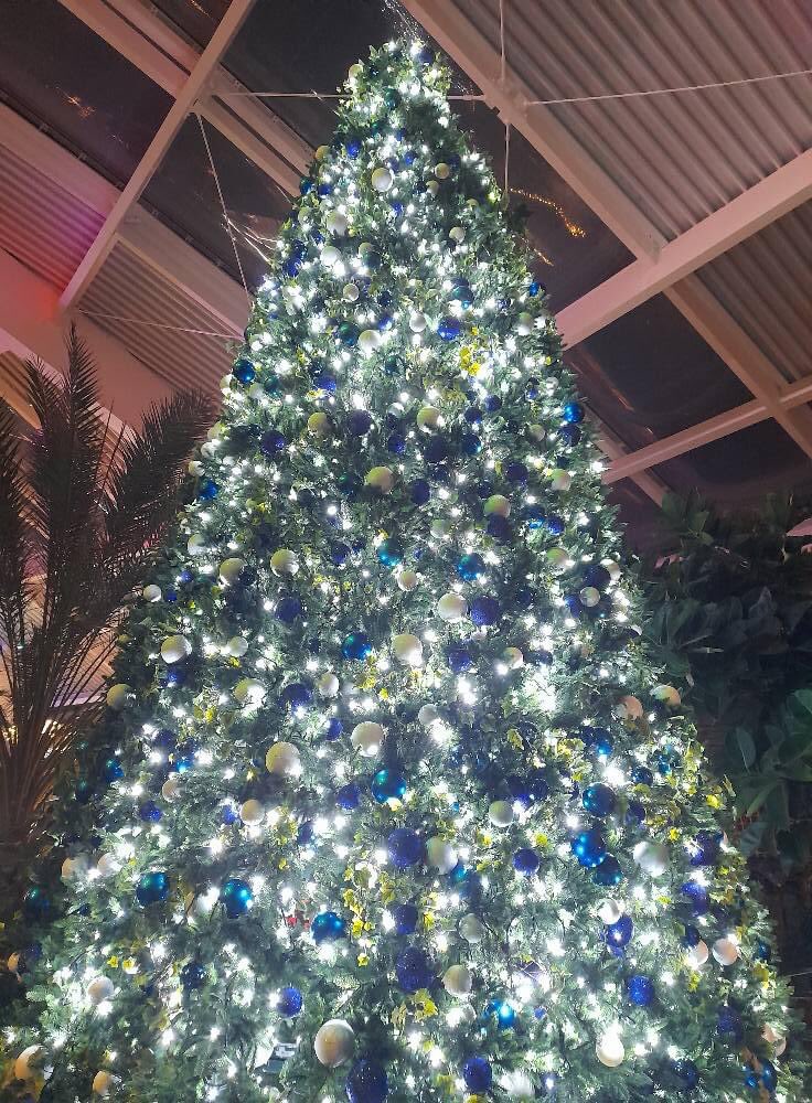 BrattonSilver's tweet image. Winter Wonderland at Centre Parcs 2022 completed! We started on 8th of November and have done every Tuesday since! We love playing for the guests here and always get a lovely audience. Look forward to seeing you next year! 😁🎄🎅☃️🎺🎶