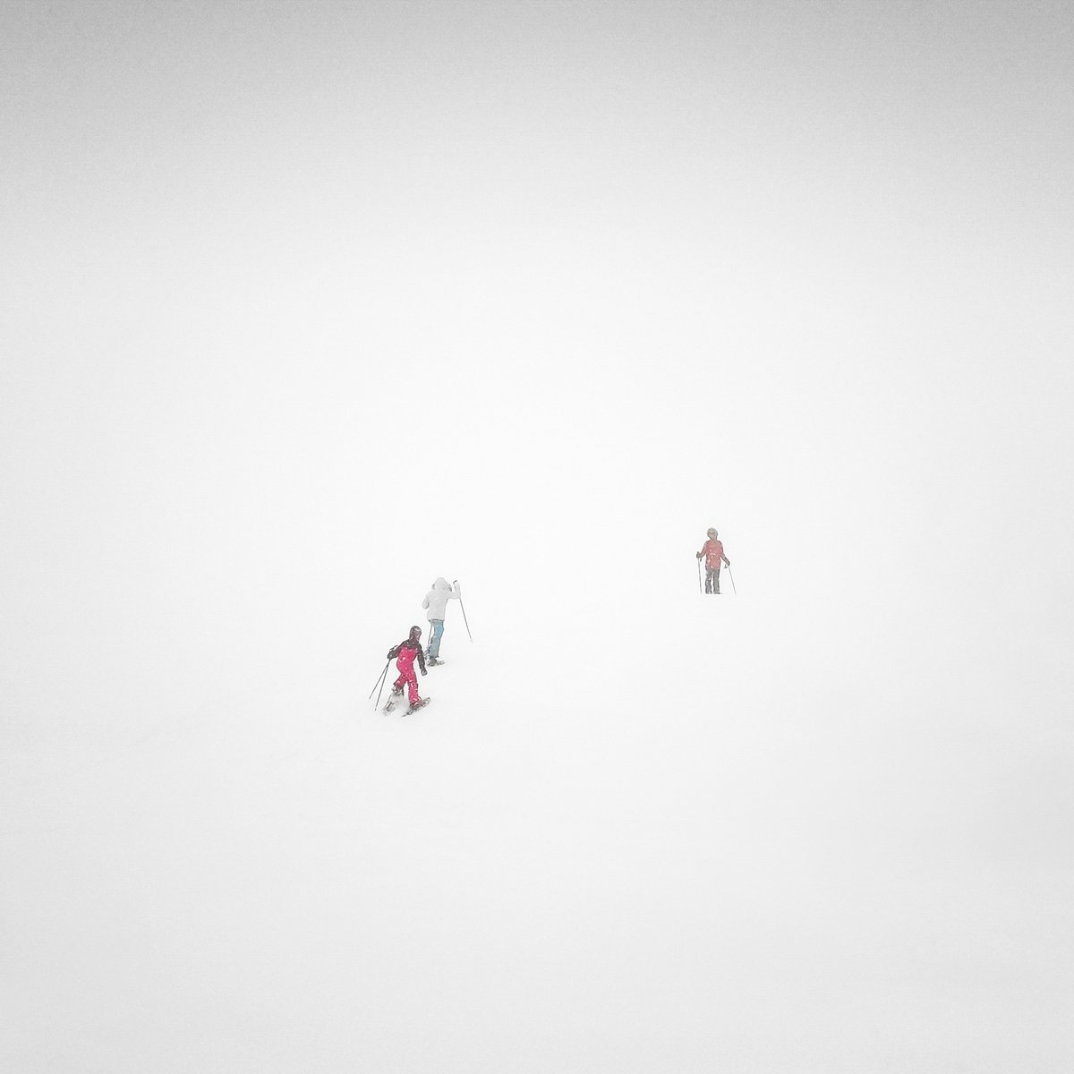 XOSΞ | longexposure.eth | tweet media