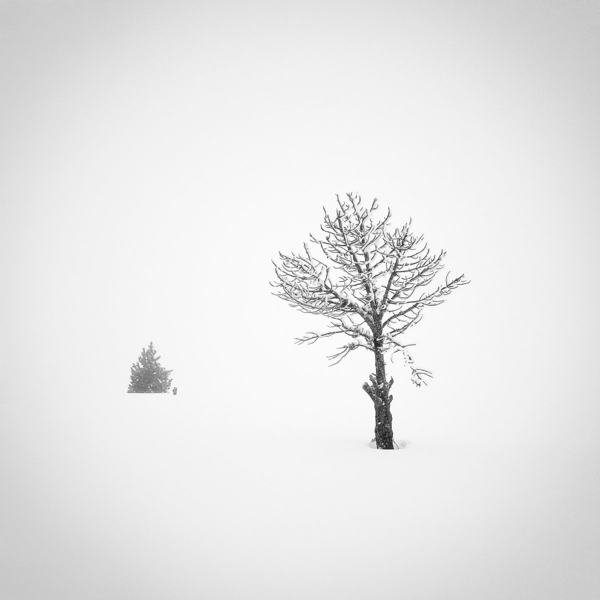 XOSΞ | longexposure.eth | tweet media