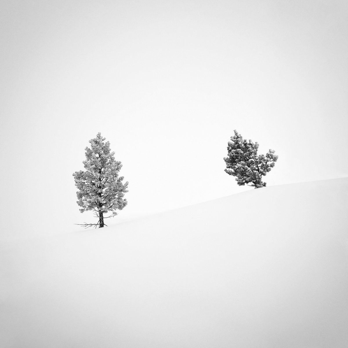 XOSΞ | longexposure.eth | tweet media