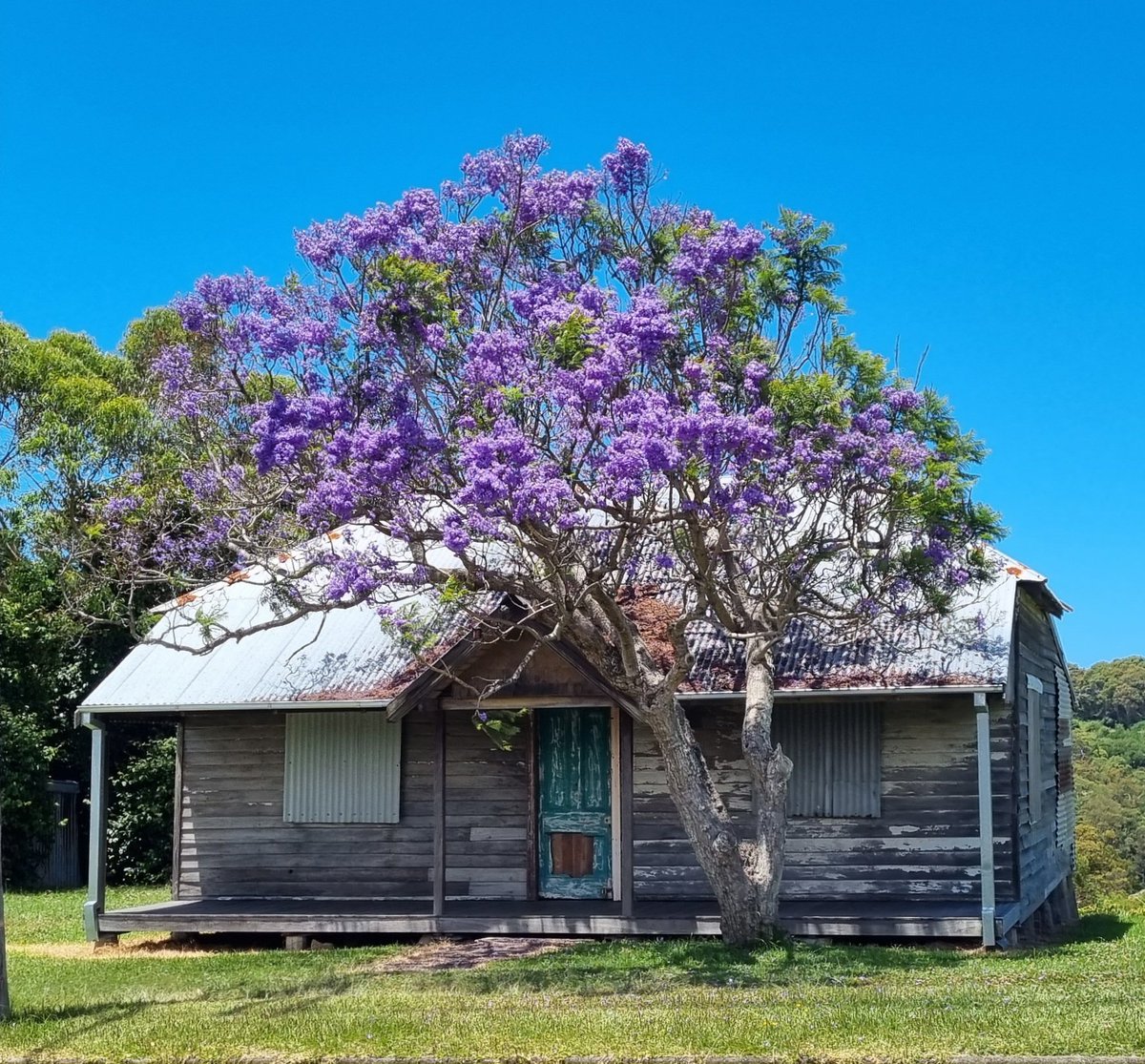 Literally on Scenic Drive...Bougainvillea Cottage 
#NewcastleNSW