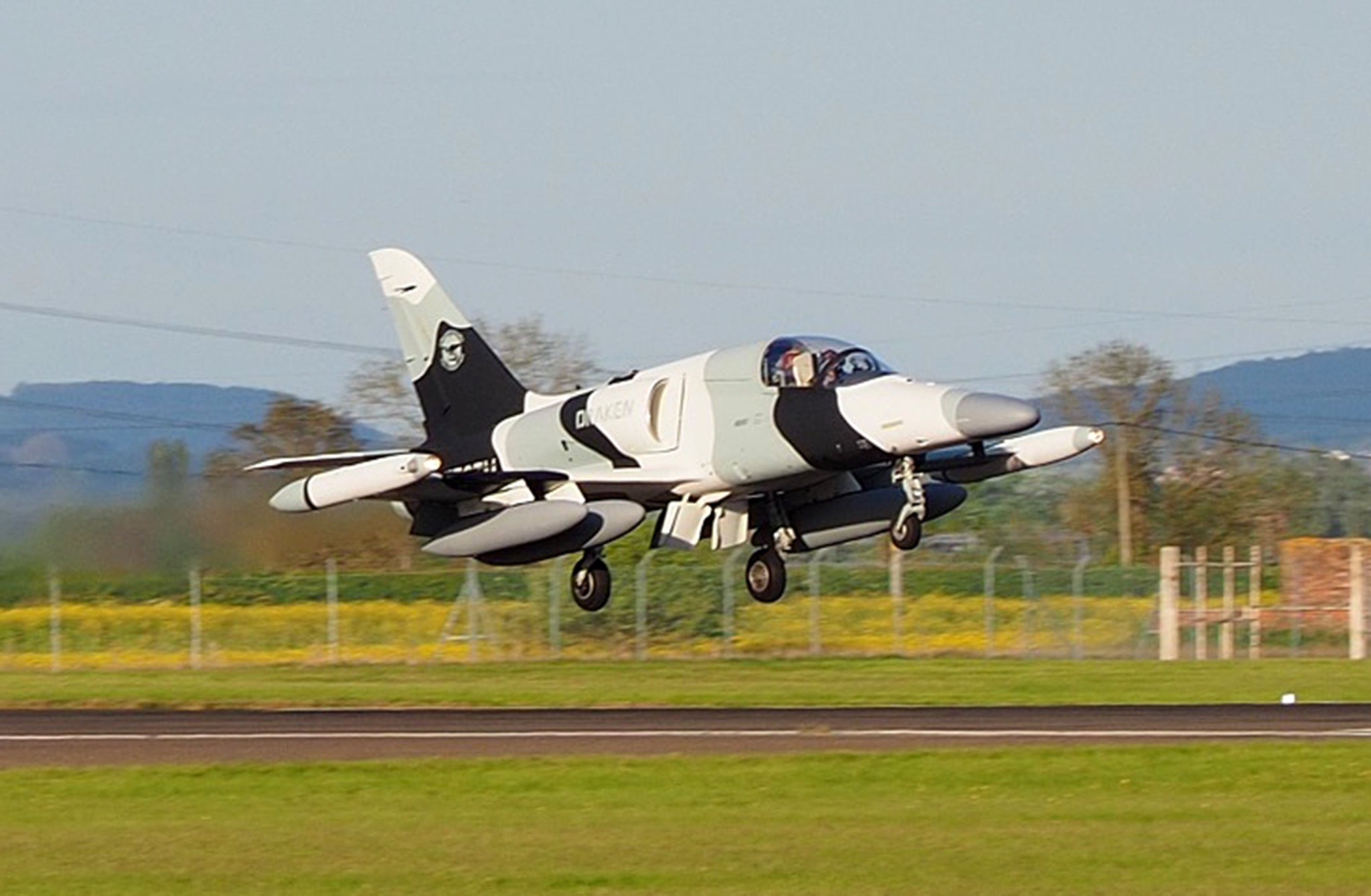 redair forces