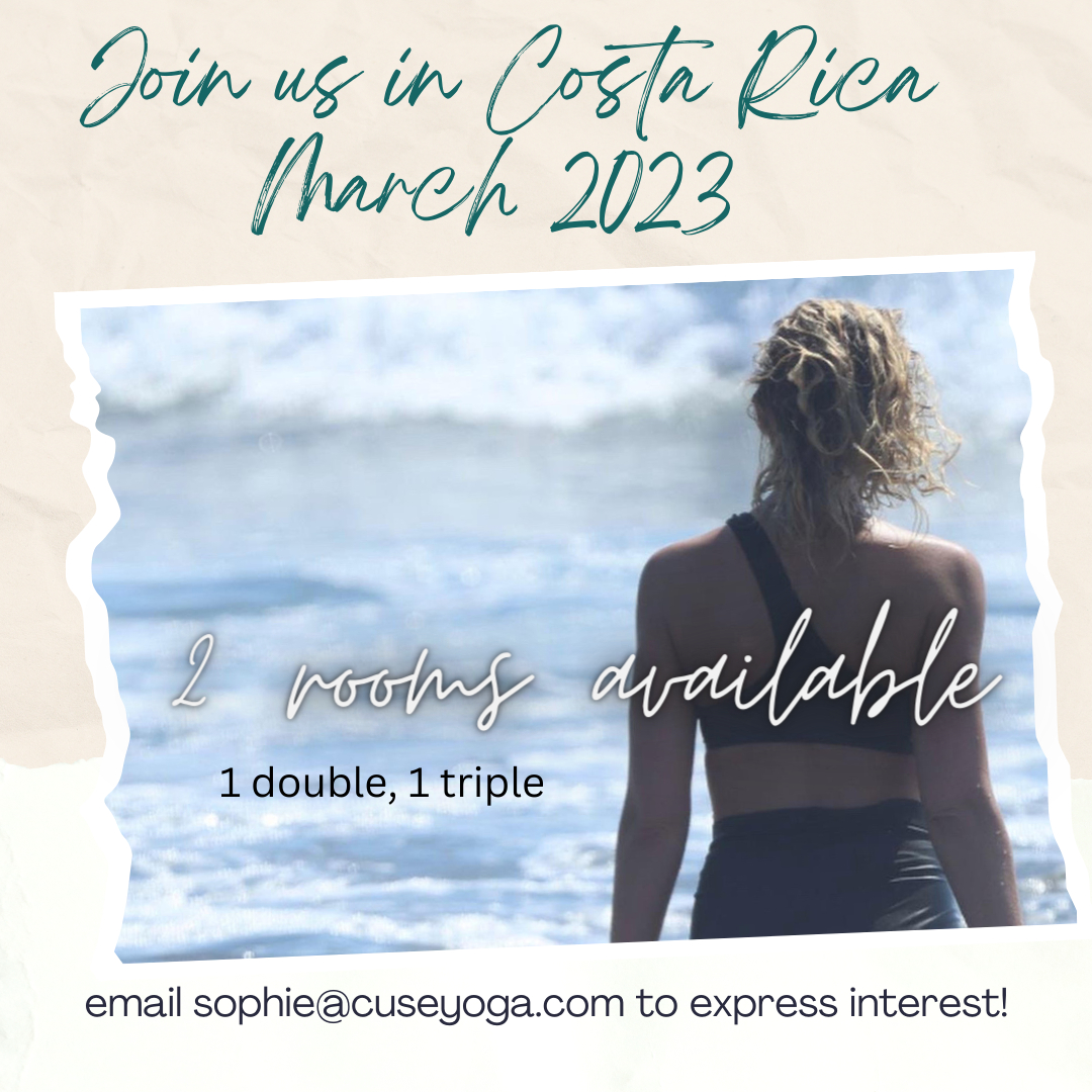 cuseyoga's tweet photo. Well, here's a great holiday gift!  1 double and 1 triple occupancy room left! 

Syracuse Yoga’s owner and founder, Sophie Tashkovski, teams up with Syracuse Yoga Teacher Cory Miller to offer this amazing experience!

Picture yourself in beautiful Costa Rica on this incredible https://t.co/aLLGCPUQAg