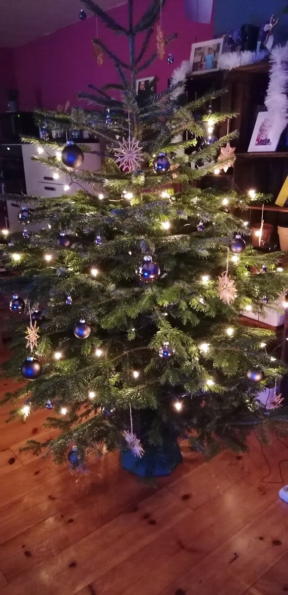 Mein Tannenbaum 🎄